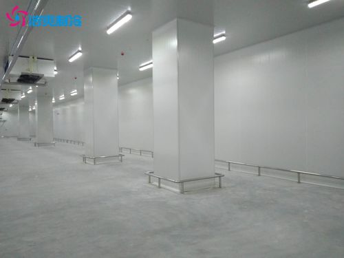 建造100万斤鲜玉米保鲜冷库与相关建筑材料供应指南